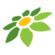 APK YANDEX MOD